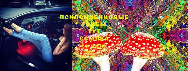 прущие грибы Алексеевка