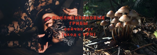 mdpv Карпинск