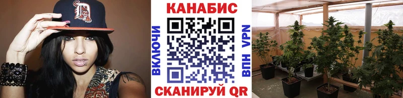 где найти наркотики  Приморск  Конопля семена 